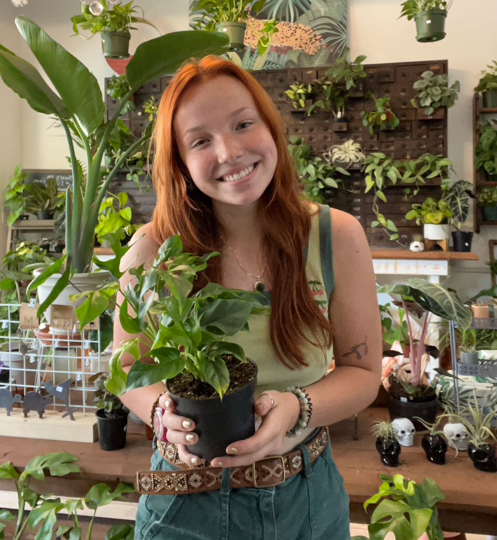 The Shack Team | The Plant Shack